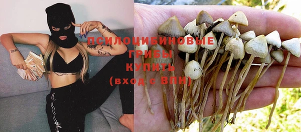 СК Фурманов