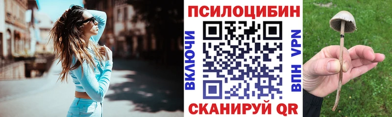 Купить  Бикин  Галлюциногенные грибы Cubensis 